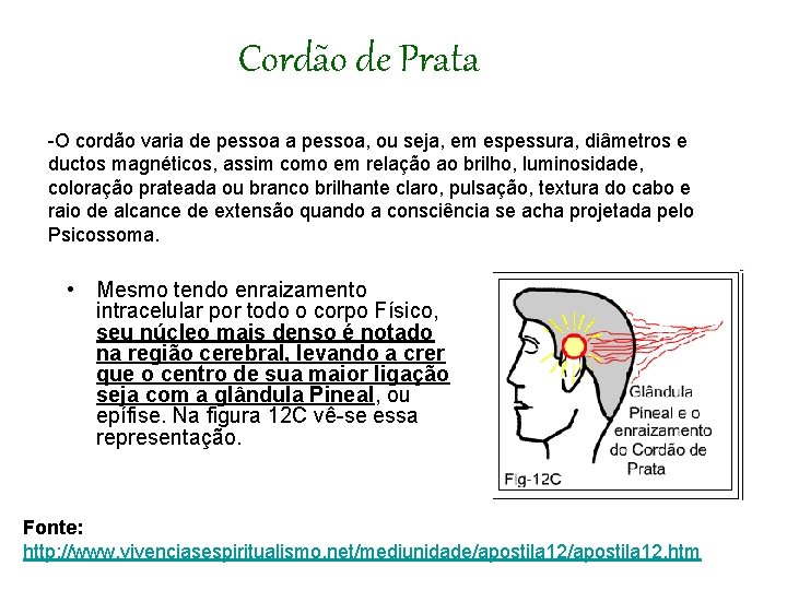 Cordão de Prata -O cordão varia de pessoa a pessoa, ou seja, em espessura,