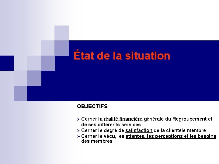 État de la situation OBJECTIFS Cerner la réalité financière générale du Regroupement et de
