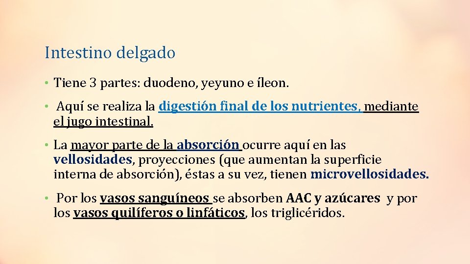 Intestino delgado • Tiene 3 partes: duodeno, yeyuno e íleon. • Aquí se realiza