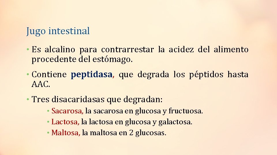 Jugo intestinal • Es alcalino para contrarrestar la acidez del alimento procedente del estómago.