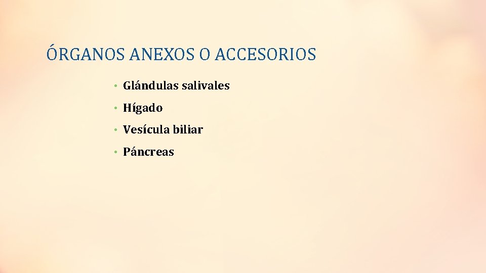 ÓRGANOS ANEXOS O ACCESORIOS • Glándulas salivales • Hígado • Vesícula biliar • Páncreas