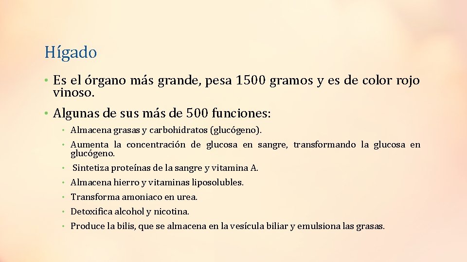 Hígado • Es el órgano más grande, pesa 1500 gramos y es de color