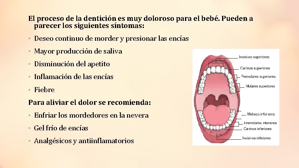 El proceso de la dentición es muy doloroso para el bebé. Pueden a parecer