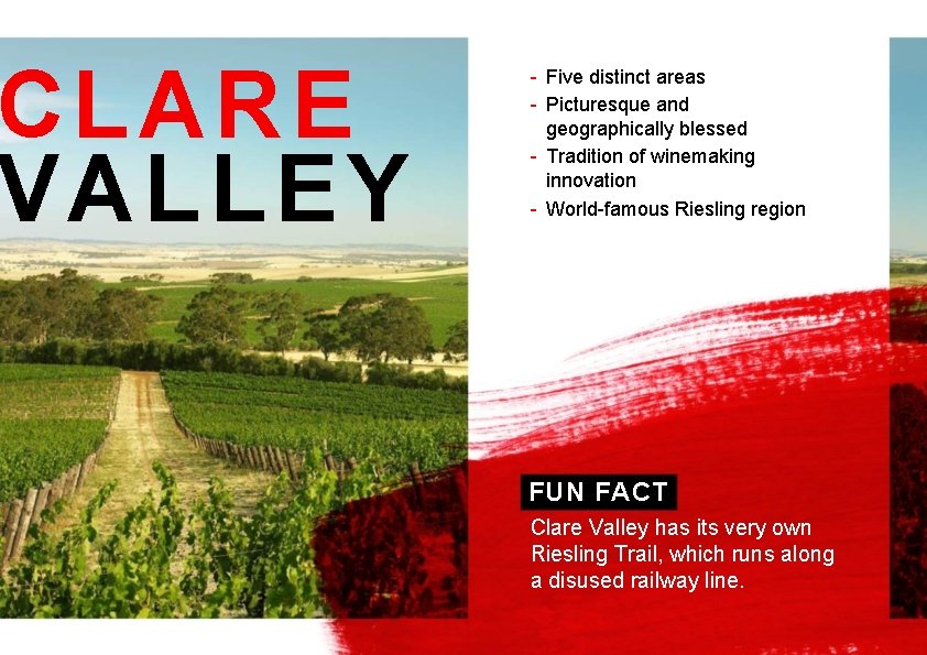 CLARE VALLEY - Five distinct areas - Picturesque and geographically blessed - Tradition of