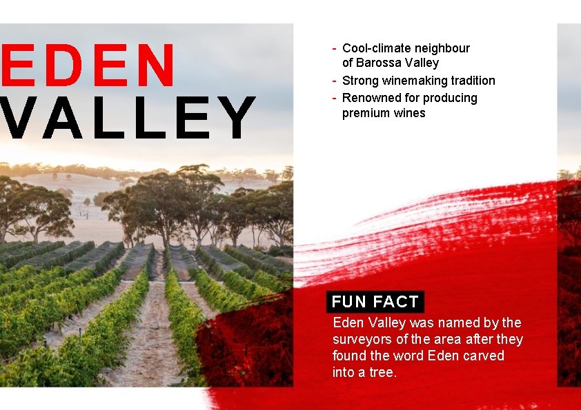EDEN VALLEY - Cool-climate neighbour of Barossa Valley - Strong winemaking tradition - Renowned