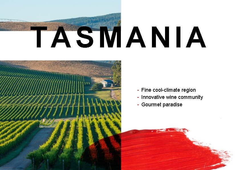 TASMANIA - Fine cool-climate region - Innovative wine community - Gourmet paradise 