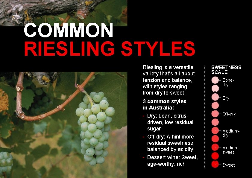 COMMON RIESLING STYLES Riesling is a versatile variety that’s all about tension and balance,