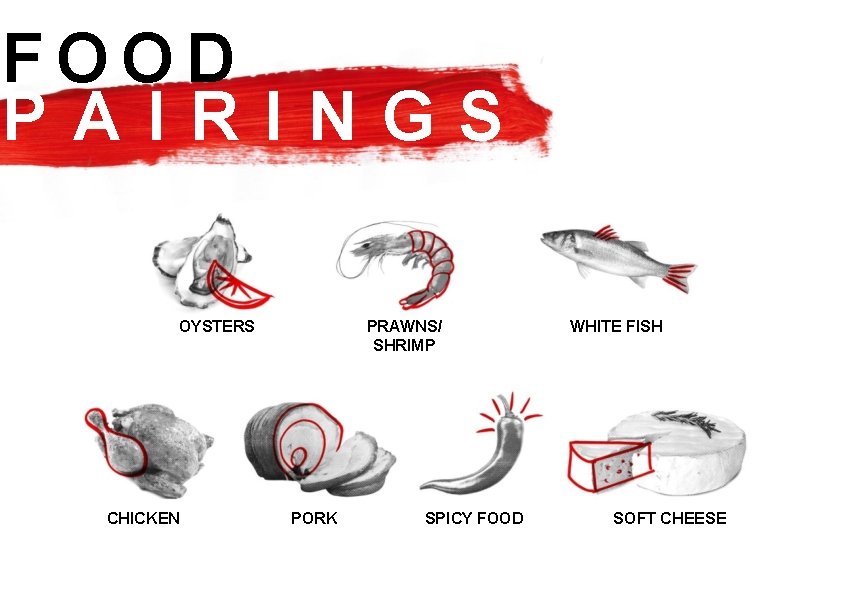 FOOD PAIRINGS OYSTERS CHICKEN PRAWNS/ SHRIMP PORK SPICY FOOD WHITE FISH SOFT CHEESE 