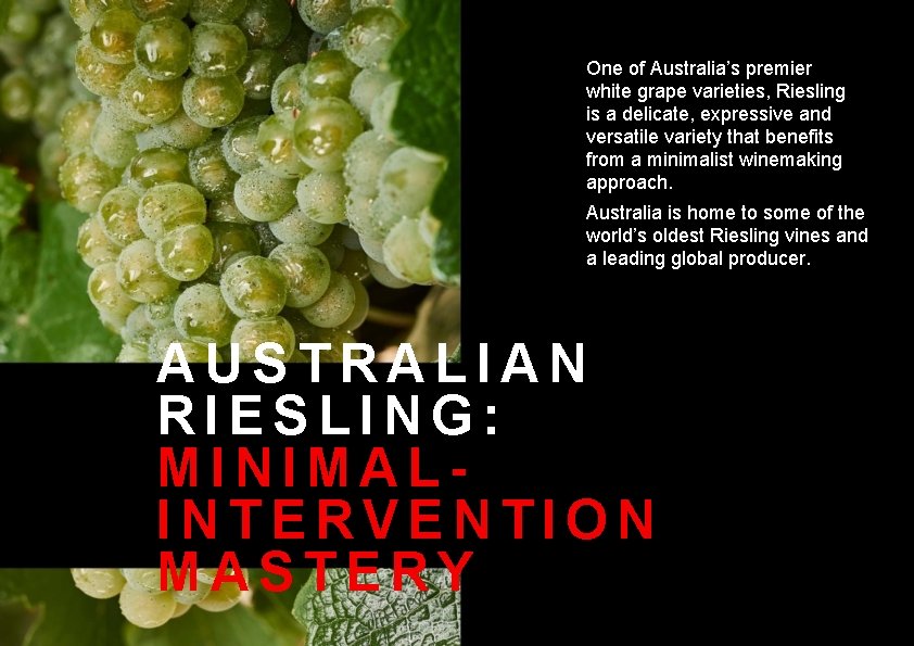One of Australia’s premier white grape varieties, Riesling is a delicate, expressive and versatile