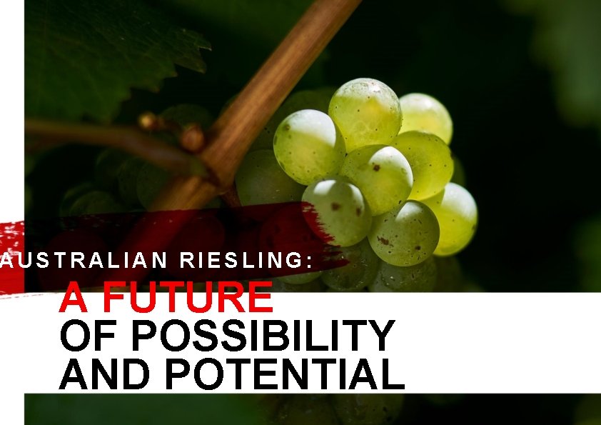 AUSTRALIAN RIESLING: A FUTURE OF POSSIBILITY AND POTENTIAL 