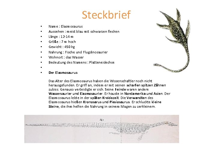 Steckbrief • • • Name : Elasmosaurus Aussehen : meist blau mit schwarzen flecken