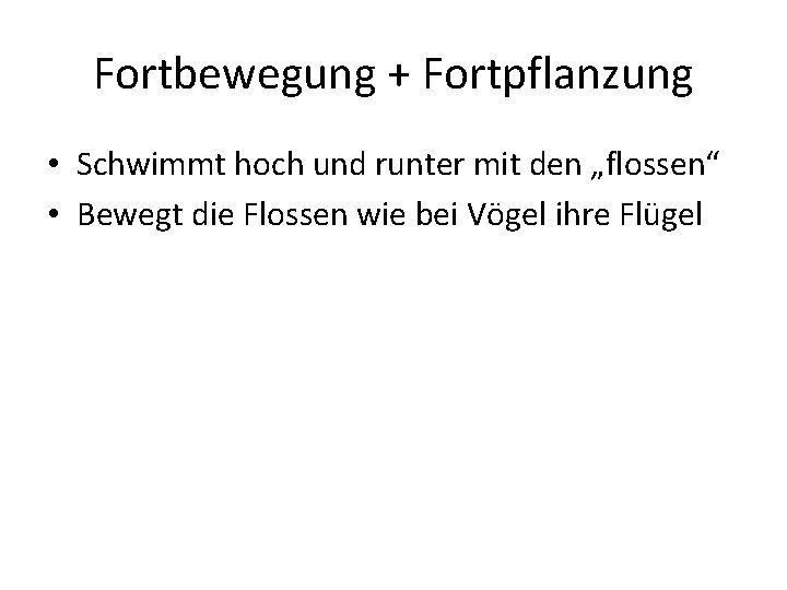 Fortbewegung + Fortpflanzung • Schwimmt hoch und runter mit den „flossen“ • Bewegt die