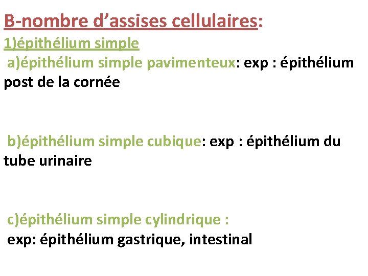 B-nombre d’assises cellulaires: 1)épithélium simple a)épithélium simple pavimenteux: exp : épithélium post de la