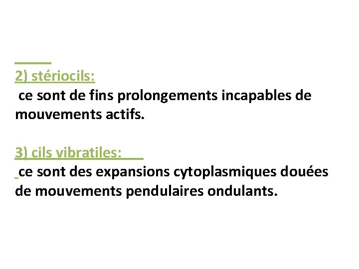 2) stériocils: ce sont de fins prolongements incapables de mouvements actifs. 3) cils vibratiles: