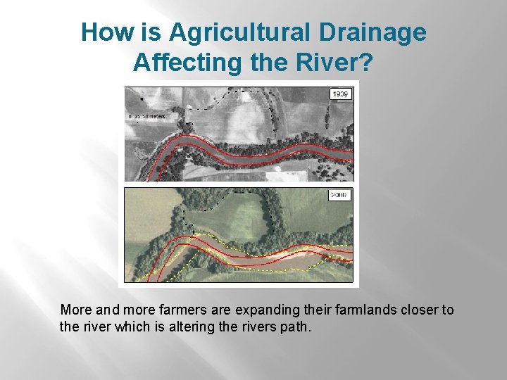 How is Agricultural Drainage Affecting the River? More and more farmers are expanding their