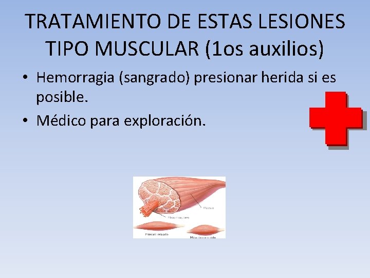 TRATAMIENTO DE ESTAS LESIONES TIPO MUSCULAR (1 os auxilios) • Hemorragia (sangrado) presionar herida