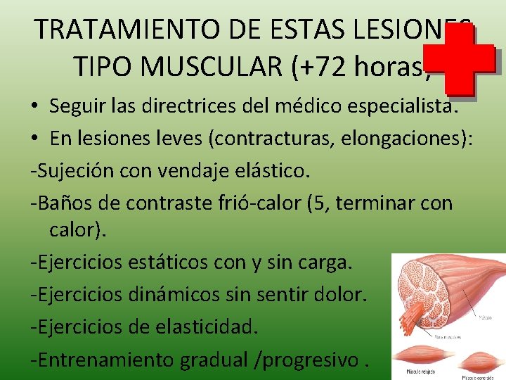 TRATAMIENTO DE ESTAS LESIONES TIPO MUSCULAR (+72 horas) • Seguir las directrices del médico