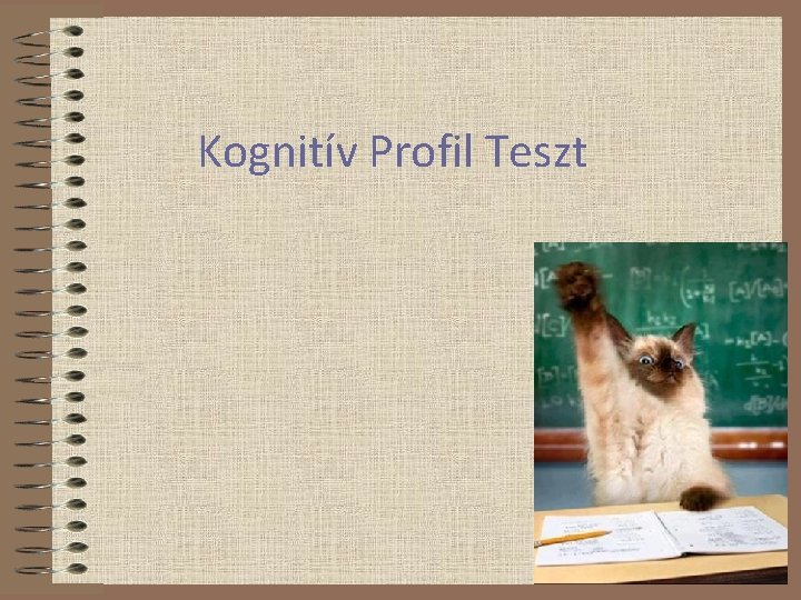 Kognitív Profil Teszt 