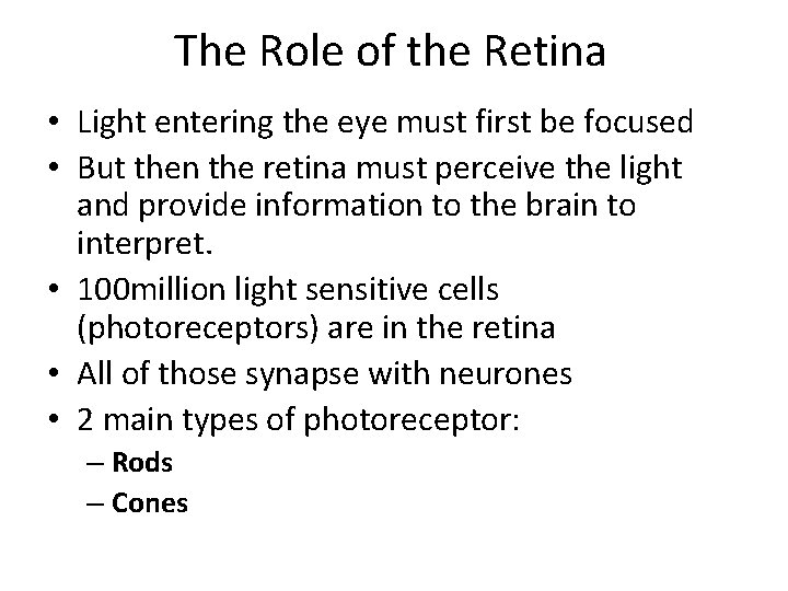 The Role of the Retina • Light entering the eye must first be focused