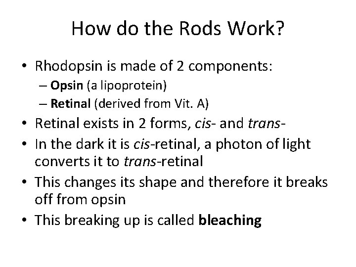 How do the Rods Work? • Rhodopsin is made of 2 components: – Opsin