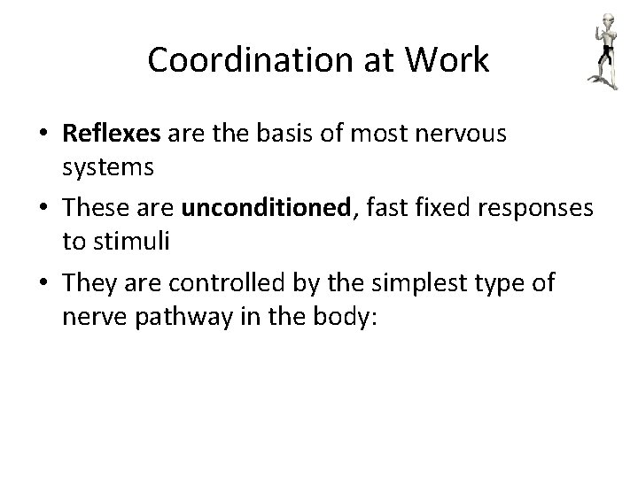 Coordination at Work • Reflexes are the basis of most nervous systems • These