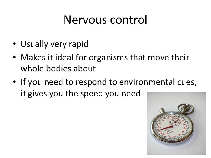 Nervous control • Usually very rapid • Makes it ideal for organisms that move