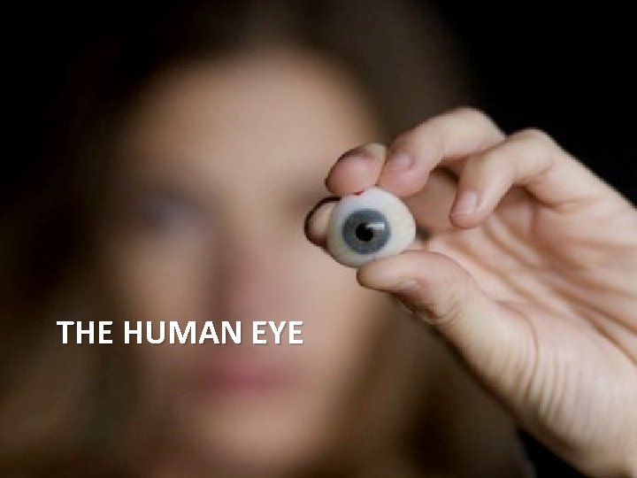 THE HUMAN EYE 