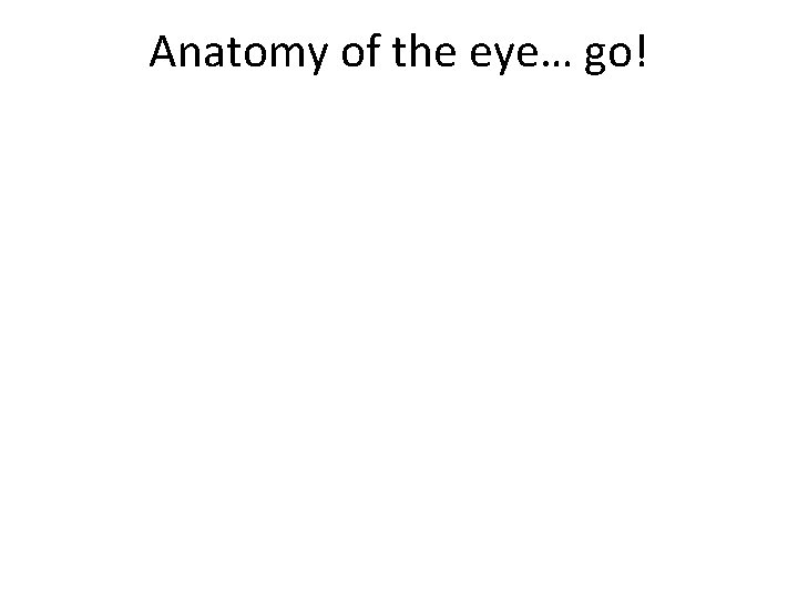 Anatomy of the eye… go! 