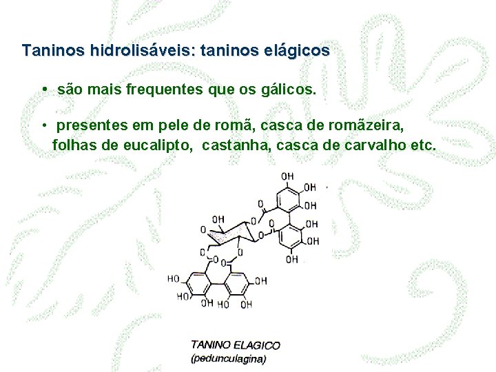 Taninos hidrolisáveis: taninos elágicos • são mais frequentes que os gálicos. • presentes em