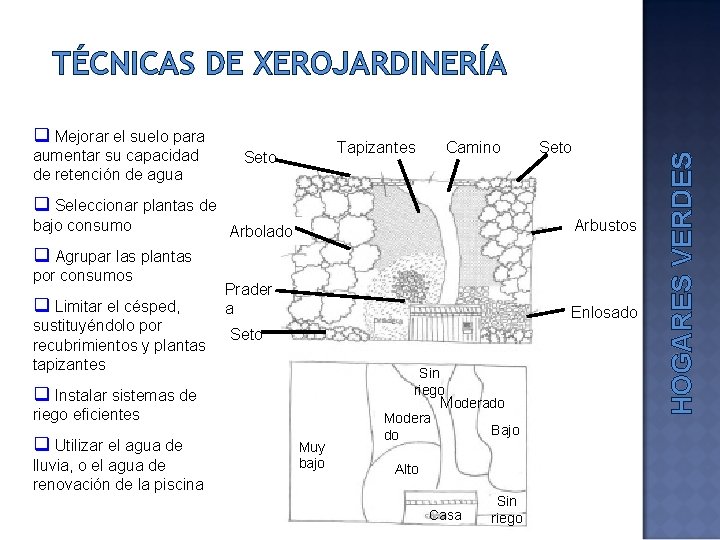 q Mejorar el suelo para aumentar su capacidad de retención de agua Tapizantes Seto