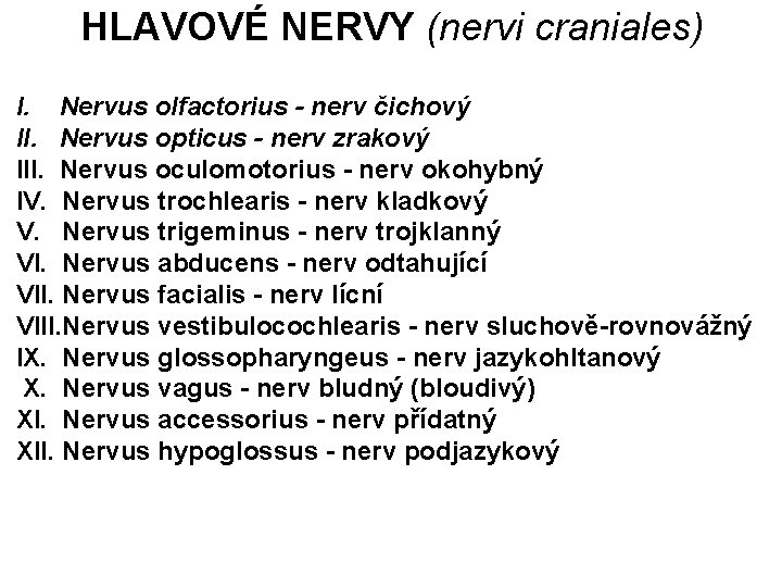 HLAVOVÉ NERVY (nervi craniales) I. Nervus olfactorius - nerv čichový II. Nervus opticus -