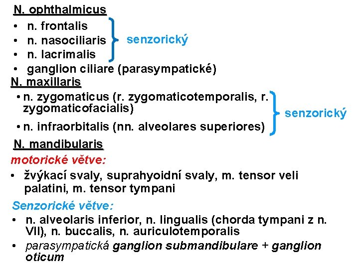 N. ophthalmicus • n. frontalis senzorický • n. nasociliaris • n. lacrimalis • ganglion