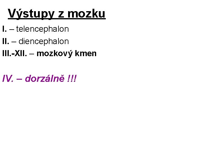 Výstupy z mozku I. – telencephalon II. – diencephalon III. -XII. – mozkový kmen