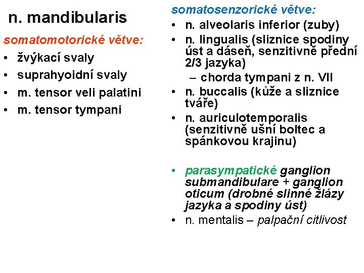  n. mandibularis somatomotorické větve: • žvýkací svaly • suprahyoidní svaly • m. tensor