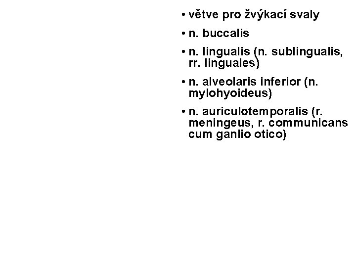  • větve pro žvýkací svaly • n. buccalis • n. lingualis (n. sublingualis,