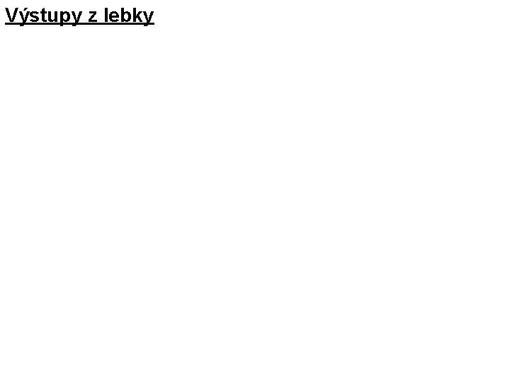 Výstupy z lebky 