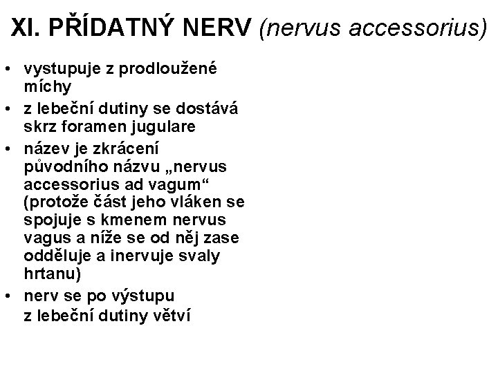 XI. PŘÍDATNÝ NERV (nervus accessorius) • vystupuje z prodloužené míchy • z lebeční dutiny