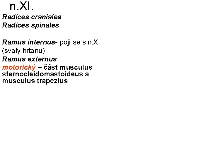 n. XI. Radices craniales Radices spinales Ramus internus- pojí se s n. X. (svaly