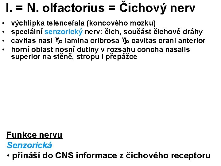 I. = N. olfactorius = Čichový nerv • • výchlipka telencefala (koncového mozku) speciální