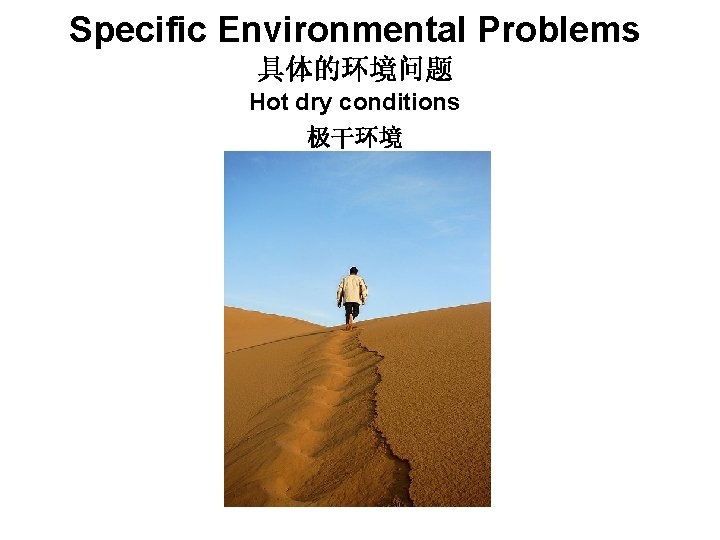 Specific Environmental Problems 具体的环境问题 Hot dry conditions 极干环境 