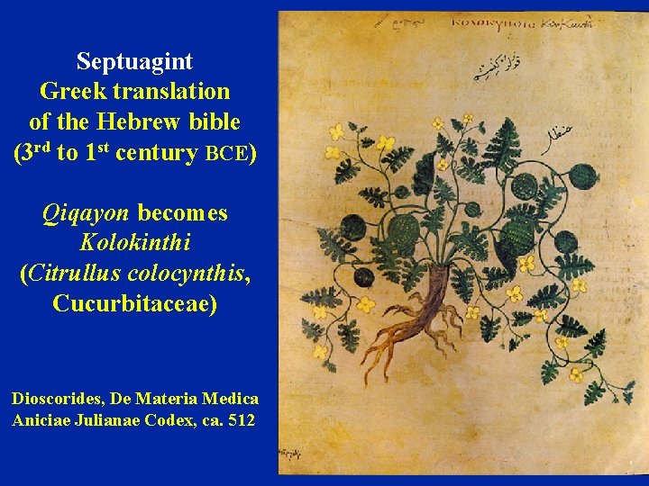 Septuagint Greek translation of the Hebrew bible (3 rd to 1 st century BCE)