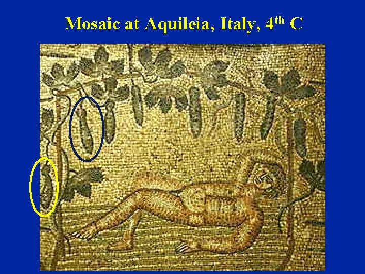 Mosaic at Aquileia, Italy, 4 th C 