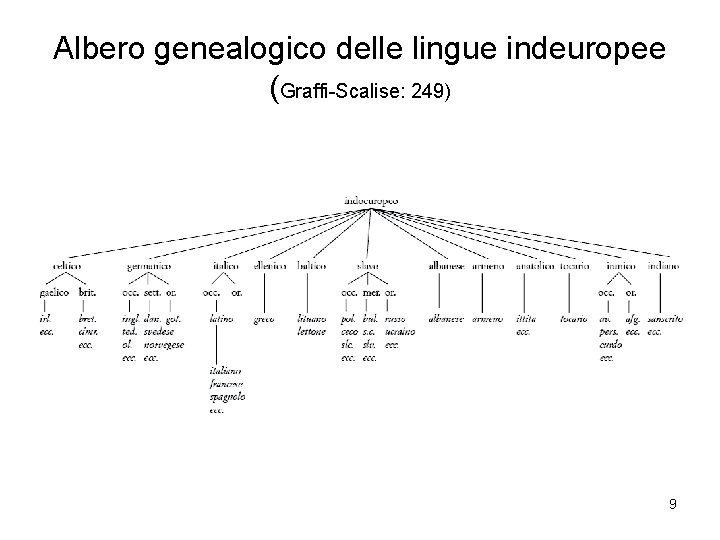 Albero genealogico delle lingue indeuropee (Graffi-Scalise: 249) 9 