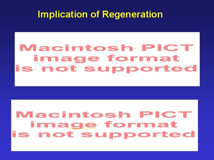 Implication of Regeneration 