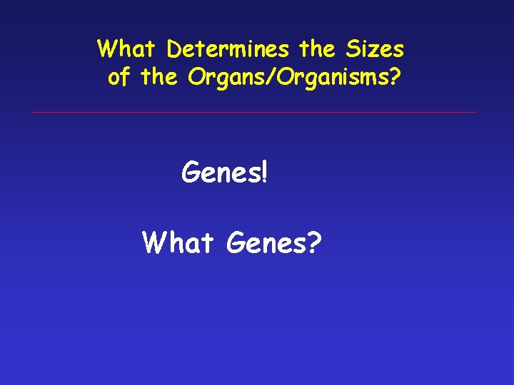 What Determines the Sizes of the Organs/Organisms? Genes! What Genes? 