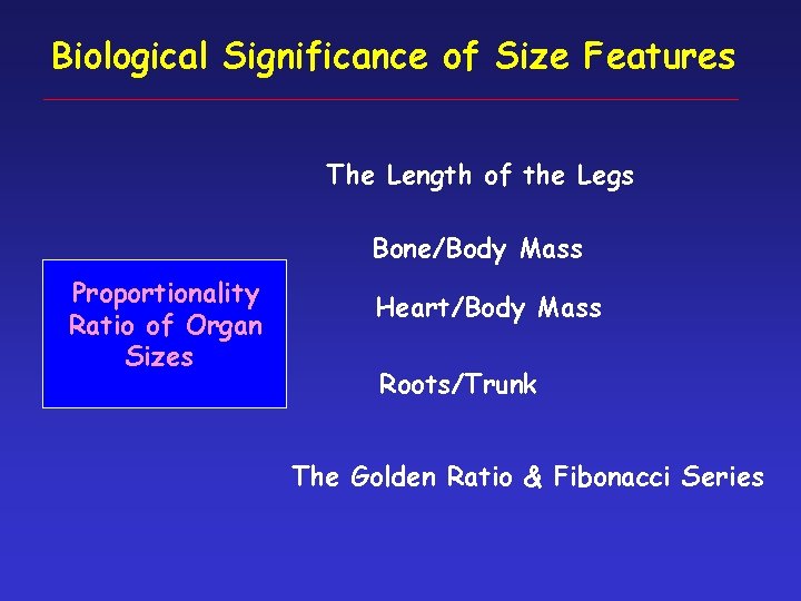 Biological Significance of Size Features The Length of the Legs Bone/Body Mass Proportionality Ratio