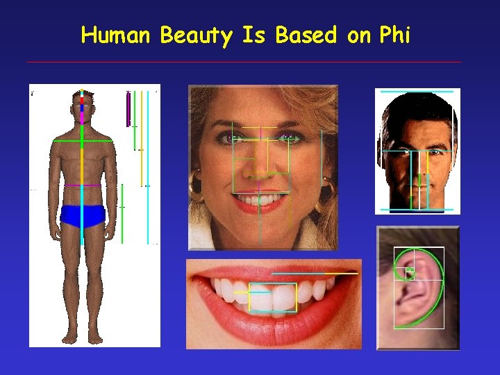 Human Beauty Is Based on Phi 