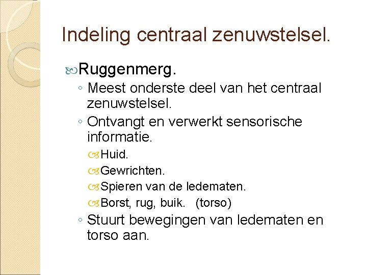 Indeling centraal zenuwstelsel. Ruggenmerg. ◦ Meest onderste deel van het centraal zenuwstelsel. ◦ Ontvangt