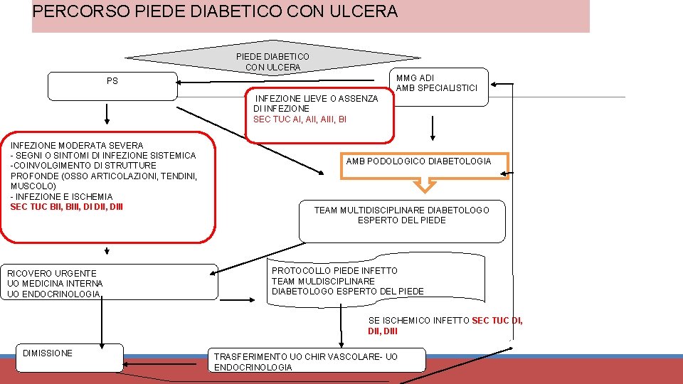 PERCORSO PIEDE DIABETICO CON ULCERA MMG ADI AMB SPECIALISTICI PS INFEZIONE LIEVE O ASSENZA