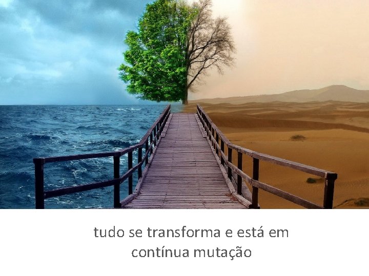 tudo se transforma e está em contínua mutação 